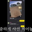 도토 이미지