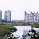 갈대습지공원 이미지