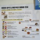 소담한 | 반려동물 프리미엄 화식 소담한끼 견생 첫 화식 후기