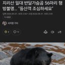 지리산 반달곰 근황 .jpg 이미지