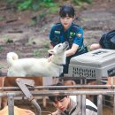 전원일기 이미지