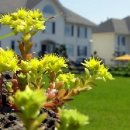 블루베이 펜션 이미지