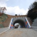 오마도터널 이미지