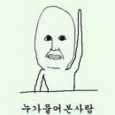 홀리몰리 네이버블로그