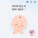 전주더블유(W)한방병원 | 대전 / 더블유여성병원(W) 둘째 경산모 38주4일 유도분만 출산후기, 입원실 VIP실 후기