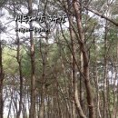 솔모루세차장 | [백두대간] 3구간 여원재-복성이재