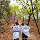 참사랑태권도교육관 | [4월]마들역태권도,수락산역태권도,경희대태권도교육관, 수락산 등반!