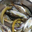 인제백담사십이선녀펜션 이미지