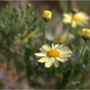 구암농장 이미지