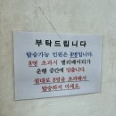 우산국호스텔 | [10월 울릉도 3박4일 여행 - 3일차] 관음도, 천부해중전망대, 울릉도 주전부리, 울라웰컴하우스, 울릉도...