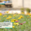 공원 빈대떡 이미지