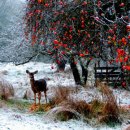 사단법인 한국노동협회 이미지