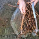 느릅농장 이미지