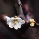 칠십리공원 이미지