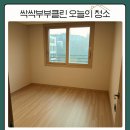 신동건축 | 동탄 신동 파크릭스 입주청소 후기｜청소하며 드러난 하자 체크 포인트는?