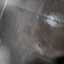 부산에서 필자20cm 섬유 이지랄병 장애인들 dna들 꼬 벌리는 시도하고있노 ㅋㅋ 마 니들dna에 가다이는하 이미지