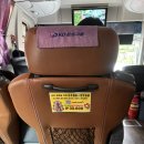 씨유금동점 | 2025 여름끝자락 제주여행-1탄 (금동이네귤체험, 천지연폭포, 정육도 중문, 속골유원지)