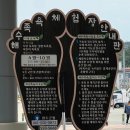 인화닭집 | 25년 완도 방문의 해, 치유페이와 함께 한 현충일 공휴일 완도 여행
