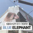 BLUE 성수 | [성수/핫플] "5만 원 이하 가성비 폭발!" 블루엘리펀트 성수 솔직 득템 후기 🕶️ 호피 선글라스 내돈내산