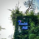 씨사이드힐캠핑장 이미지