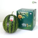 선이농원 | 아농이농원 당도선별 꿀수박 산지직송 후기