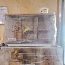 호성동세차장 이미지