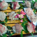 자연산형제횟집 이미지