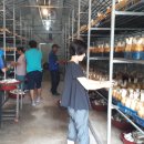 성화농장 이미지