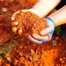 못골농장 이미지