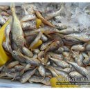 김철현농장 이미지