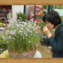 아진목장 이미지