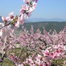 삼화리 이미지
