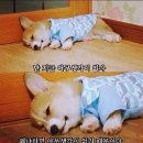 공감 - 나주시 대호길 10 | 공감
