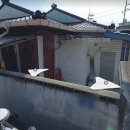 삼일주유소 네이버블로그