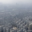 성지부동산중개사무소 네이버블로그