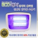 진성닷컴(주) 이미지