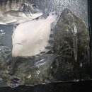 용인실내바다낚시터 이미지