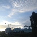 산록도로휴게소