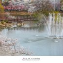 창녕 영산 만년교 이미지