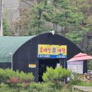 개나리낚시공원 | 송산 낚시 캠프