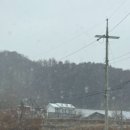 다래하우스펜션 이미지