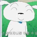 핑핑