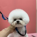 검지살롱