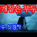 신경자 이미지