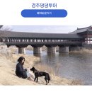 파주시티투어 핵심관광(토~일요일) | 경주시티투어 버스 코스 | 예약 꿀팁 총정리