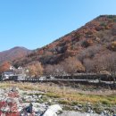 이득수 | 이득수 시인의 「일흔 한 살의 동화(童話)」 (4)어느 아름다운 봄날의 기억