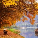 송호관광농원민박 | [충청북도 영동군] 금강 둘레길