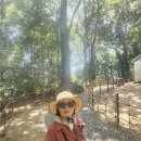 상록다실 | 일본 간사이 지방 자유여행 나라 이끼정원과 연못정원을 모두 볼 수 있는 요시키엔(吉城園) 정원과...