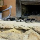 아침햇살 민박 이미지