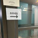 추추네일 네이버블로그